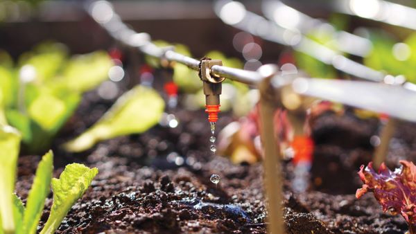 Basics in Drip Irrigation
